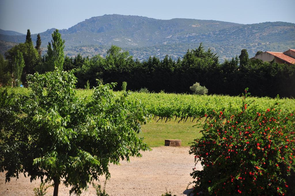 Chateau De Jonquieres - Herault Buitenkant foto